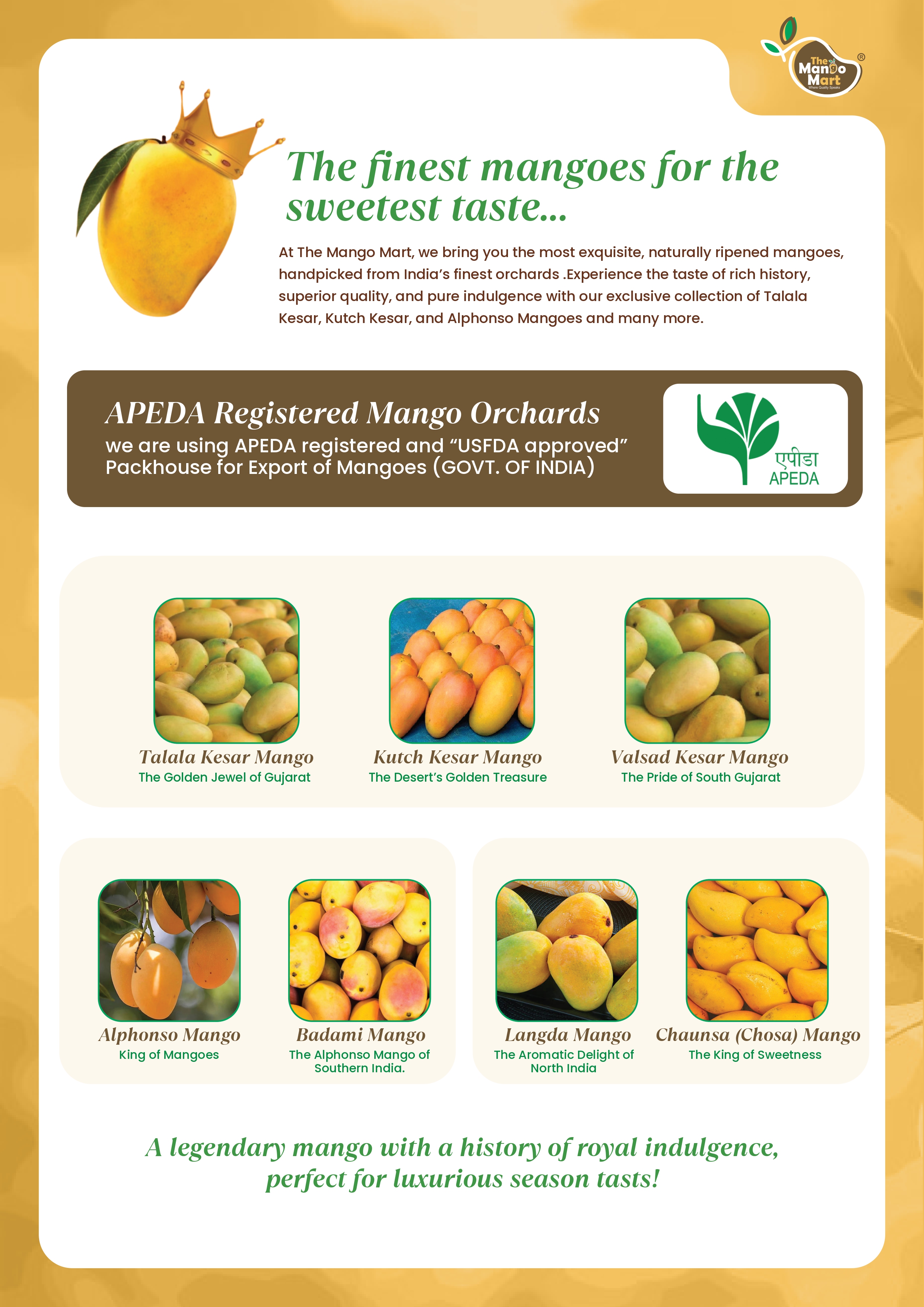 Brochure Page 2