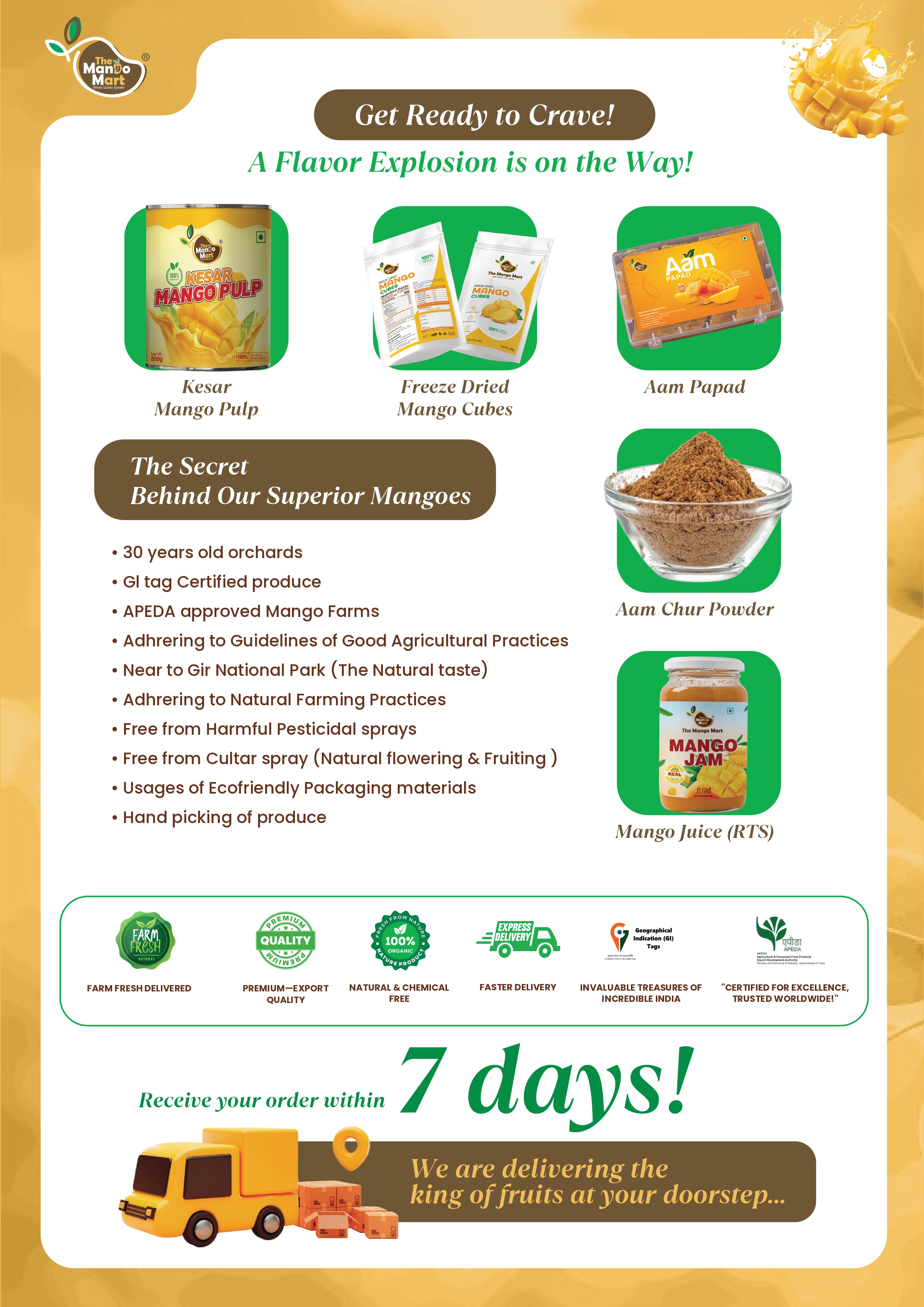 Brochure Page 3