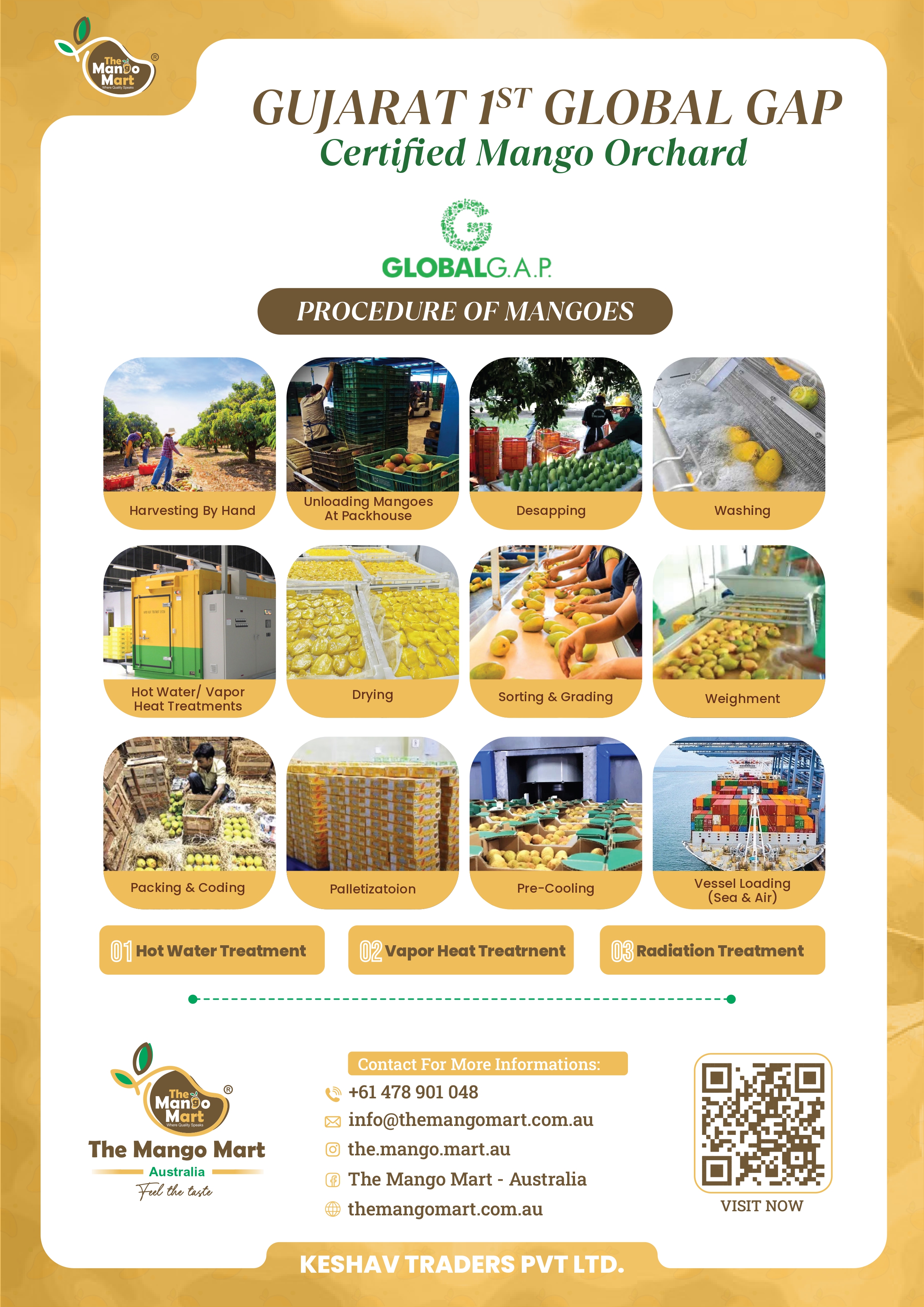 Brochure Page 4